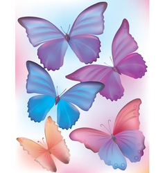 Beautiful blue butterfly vector image