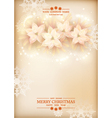 Christmas Poinsettias Celebration Background vector image