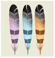 Feather vector image