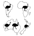 Ratites of the world vector image