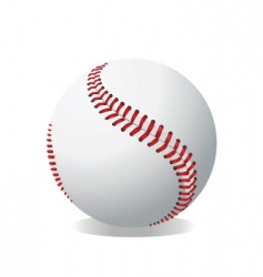 Baseball vector image