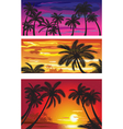 Landscapes with palms at sunset vector image