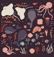Collection of colorful sea and ocean animals Collection of colorful sea and ocean animals vector image