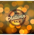 Autumn Sale poster bokeh background vector image
