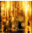 Sparkling lights christmas card vector image