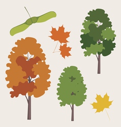 Maple tree vector image