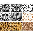 Animal skins vector image