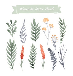 Watercolor Flowers vector image
