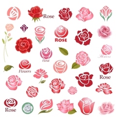 Roses design elements vector image
