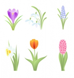 Flowers vector image