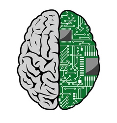 Brain and motherboard Brain and motherboard vector image
