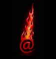 Hot email vector image