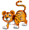 Cartoon Tiger vector image