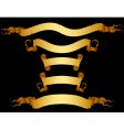Set of ribbons vector image