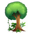 A tree vector image