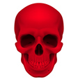 Red skull vector image