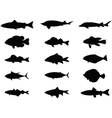 Silhouette of sea and river fish vector image