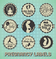 Vintage Pregnancy Labels and Icons vector image