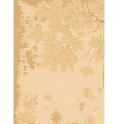 Autumn leaves antique background vector image