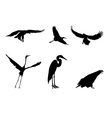 Eagle and the stork Eagle and the stork vector image