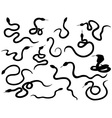 Snake silhouettes vector image