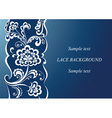 Lace background vector image