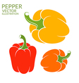 Bell Pepper vector image