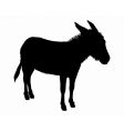 Donkey silhouette vector image