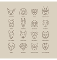 Head of dog and puppy set vector image