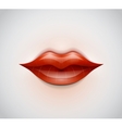 Lips background vector image