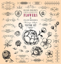 Flowers and Flourishes hand-drawn set vector image