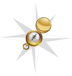 Wind rose and compass vector image