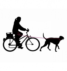 Woman on bicycle with dog vector image