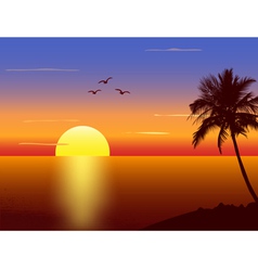 Sunset with palmtree silhouette vector image