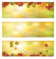 Fall vector image