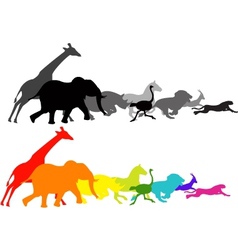 Wild animal racing vector image