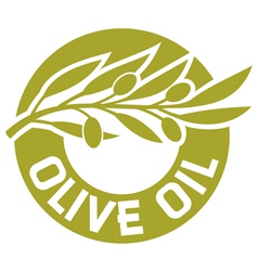 Olive oil label vector image