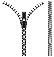 Open zipper vector image