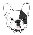 Dog 2 vector image