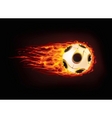 Soccer ball Soccer ball vector image