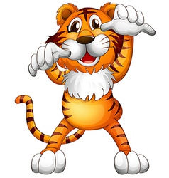 Cartoon Tiger vector image