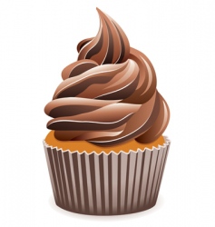 Chocolate cupcake vector image