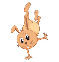 A rabbit vector image