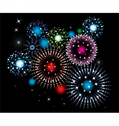 Fireworks vector image
