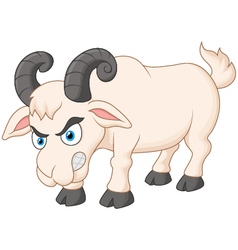 Angry cartoon goat vector image