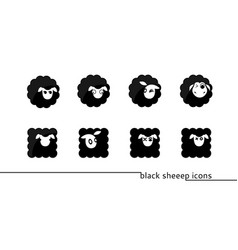 Sheep icons vector image