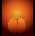 Dandelion seed vector image