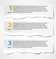 Torn paper progress vector image