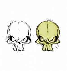 Skulls vector image