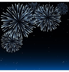 Fireworks vector image